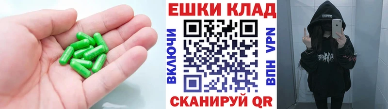ЭКСТАЗИ бентли Венёв