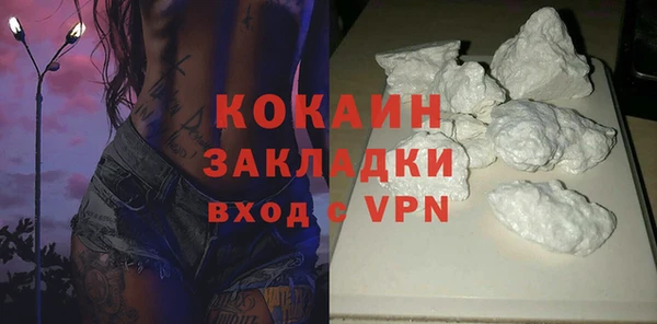 хмурый Алзамай