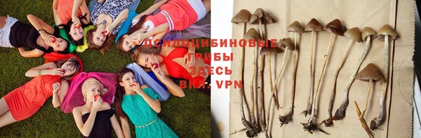сатива Всеволожск
