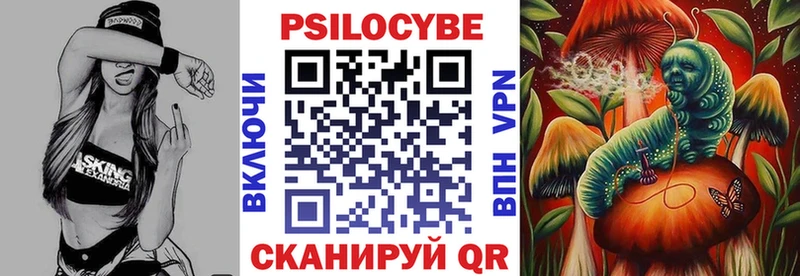 где купить наркотик  Венёв  Галлюциногенные грибы MAGIC MUSHROOMS 